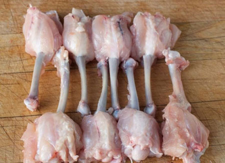 Pajini wings and scapula